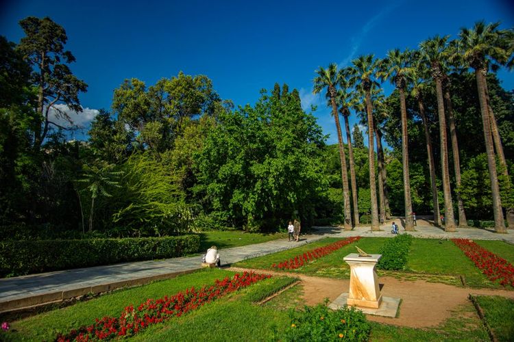 Le jardin botanique d'Athènes, Grèce
