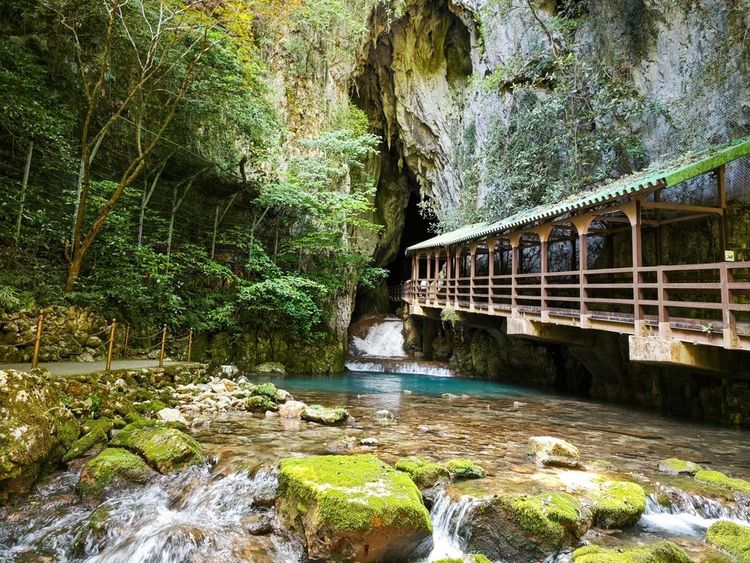 Le parc quasi national d'Akiyoshidai, Yamaguchi Japon