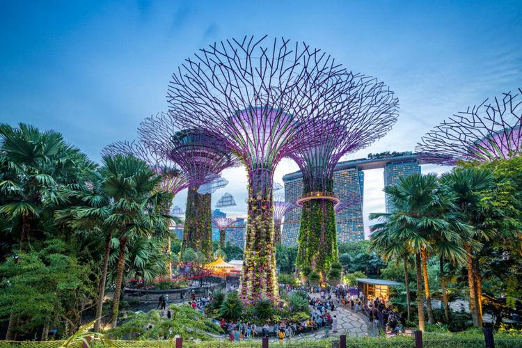 Les "Super Trees" de Singapour