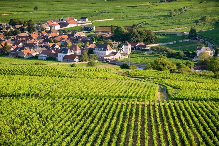 Les climats du vignoble de Bourgogne