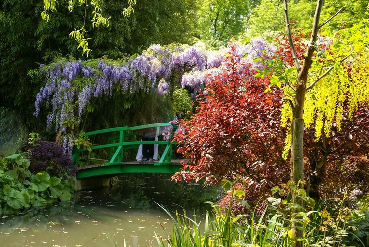 Les jardins de Giverny