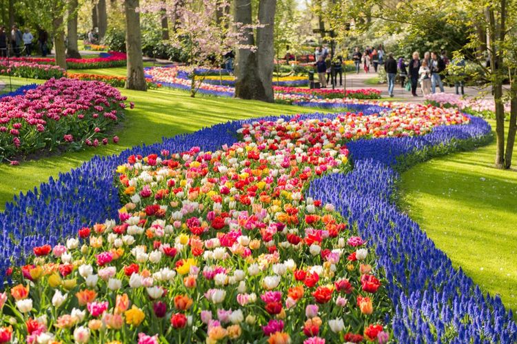 Les parterres de tulipes de Keukenhof aux Pays-Bas