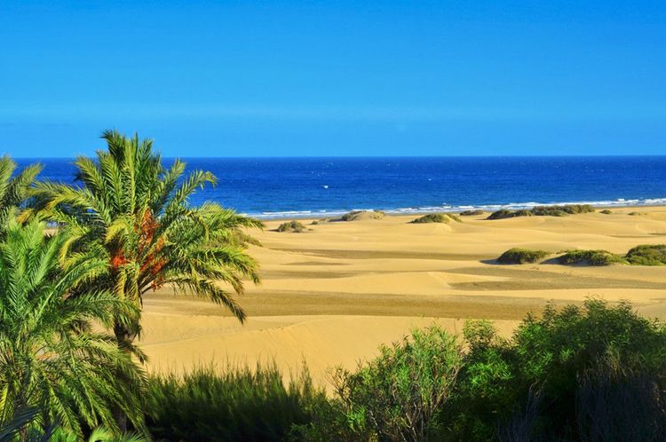 Maspalomas, Canaries