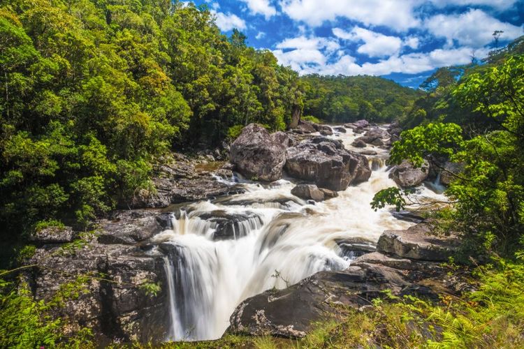 Parc National de Ranomafana