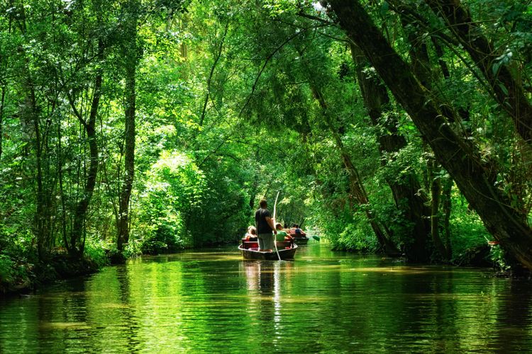 Parc naturel régional du Marais poitevin