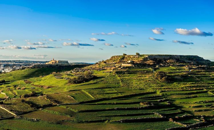 Paysage rural à Gozo 