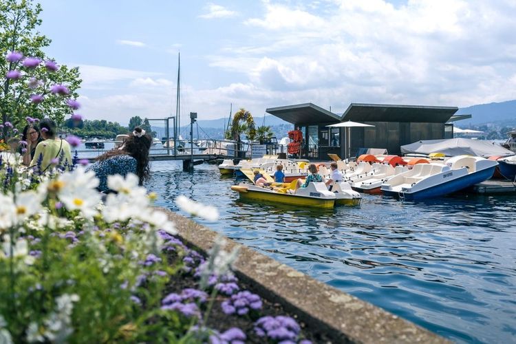 Pédalos sur le lac de Zurich