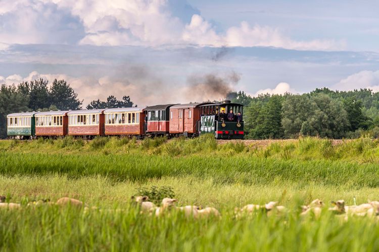 Petit train de la Baie de Somme