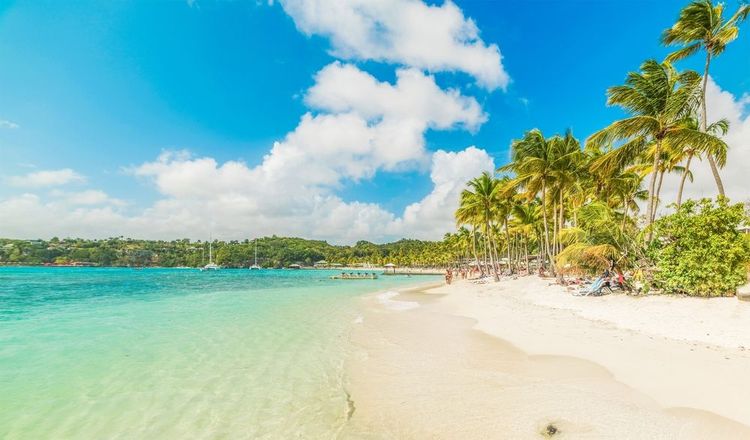 Plage de la Caravelle en Guadeloupe, Antilles françaises