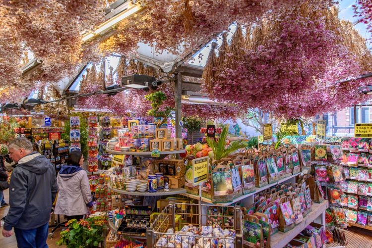 Promenade au cœur du Marché des fleurs d'Amsterdam, au bord du canal
