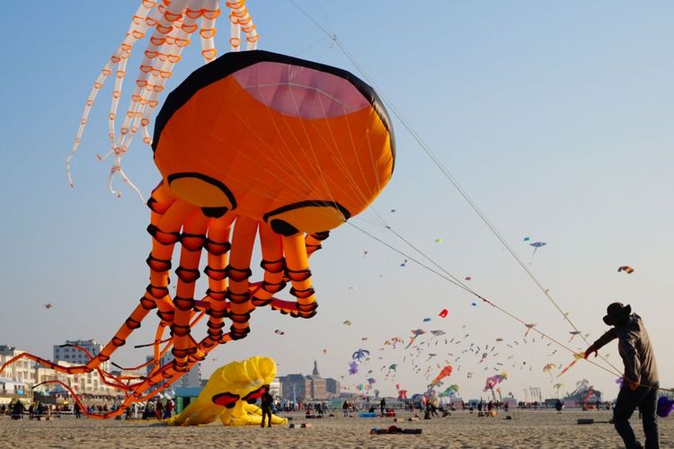 Rencontres internationales de cerfs-volants de Berck-sur-Mer 
