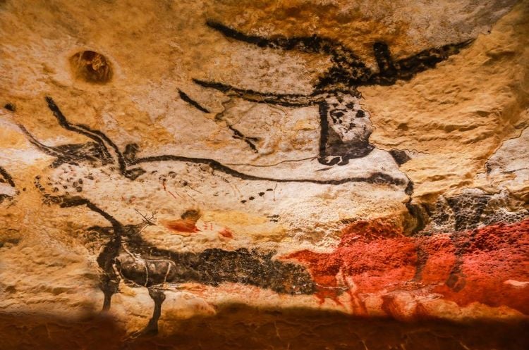 Représentation des peintures trouvée sur les mur de la grotte de Lascaux en Dordogne