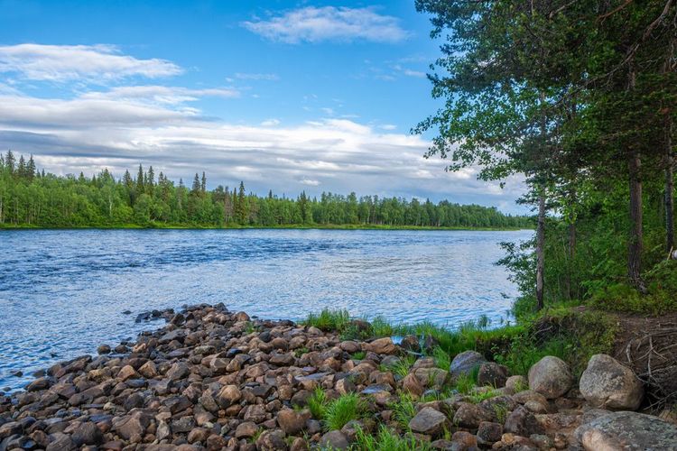 Rivière Ounasjoki en été