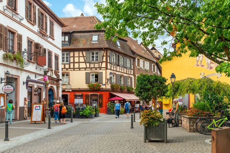 Rue dans le village de Ribeauville