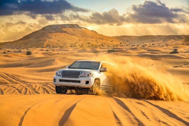 Safari hors route dans le désert de Dubai