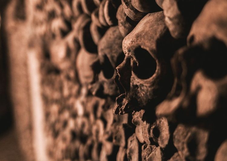 Les ossements dans les Catacombes de Paris. © Nolan Schweitzer / Shutterstock