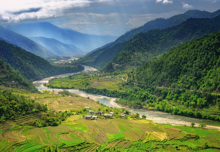 Paysages de rizières et de forêts au Bhoutan © mbrand85 / Shutterstock