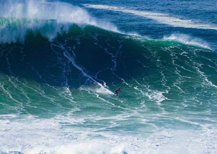 vague, géant, surf