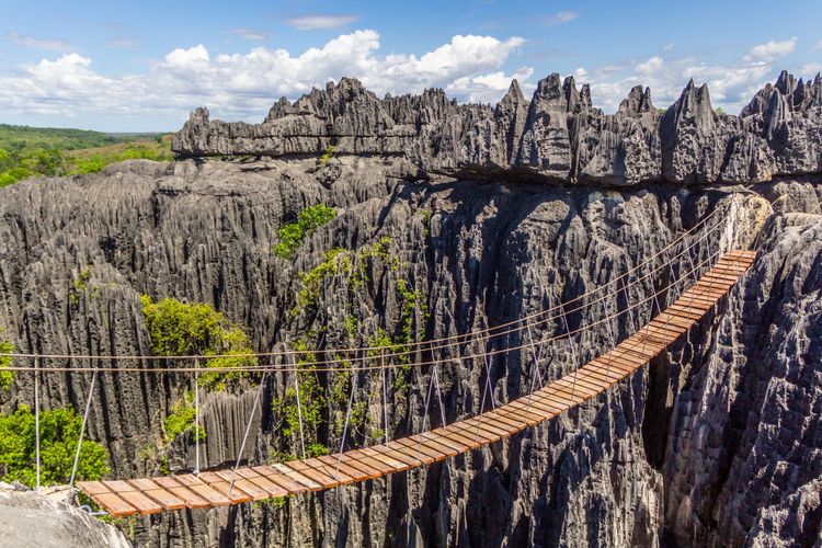 Pont au dessus de la réserve naturelle du Tsingy de Bemahara