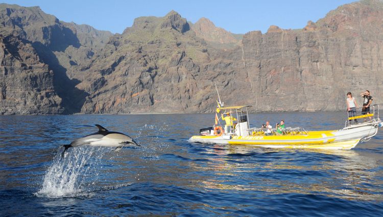 Un bateau d'excursion au large de Tenerife, Îles Canaries © Turismo de Tenerife