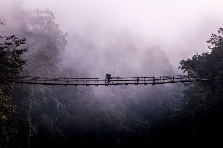 Un pont reliant la jugnle de Kachin au mont Hkakabo Razi