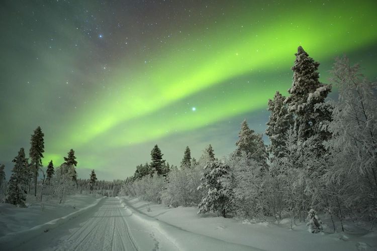 Une aurore boréale en Laponie finlandaise