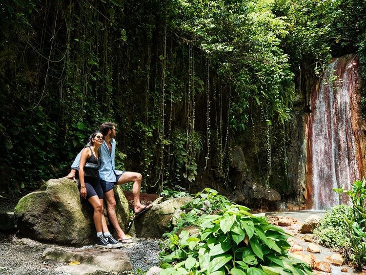 Une cascade dans la nature préservée de Sainte-Lucie