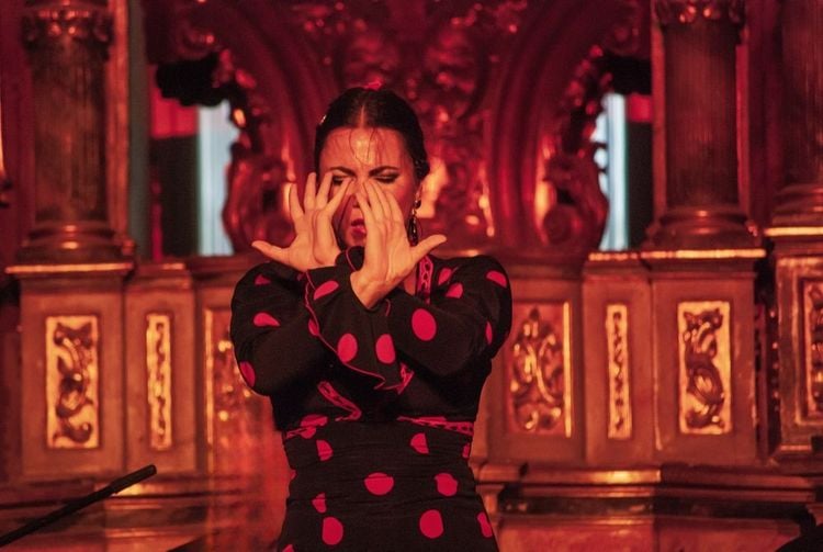 Une danseuse de flamenco en pleine performance.