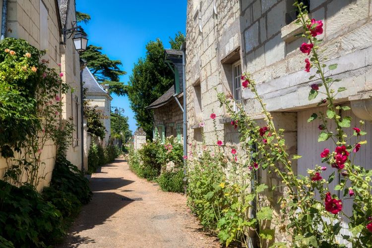 Une ruelle fleurie de Candes-Saint-Martin