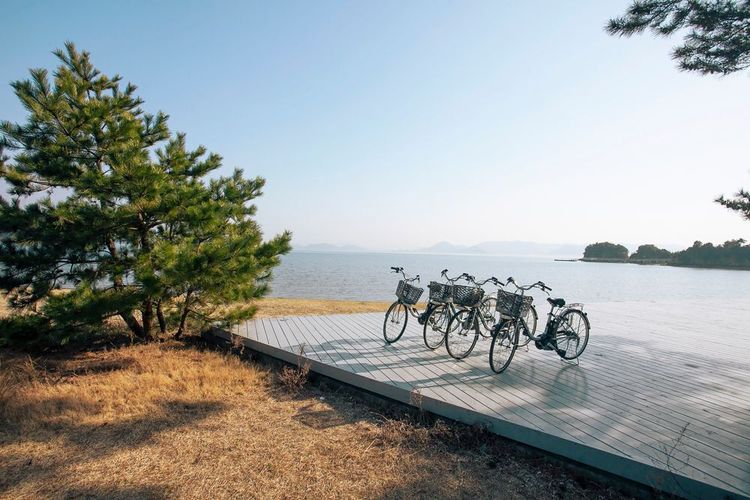 Vélos pour visiter l'île de Naoshima