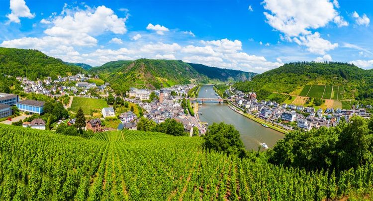 Vignobles de Cochem en Rhénanie-Palatinat
