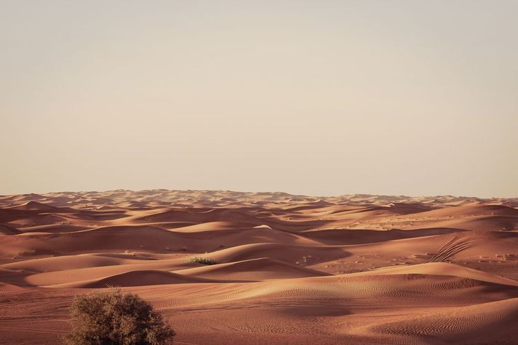 The Dubai desert