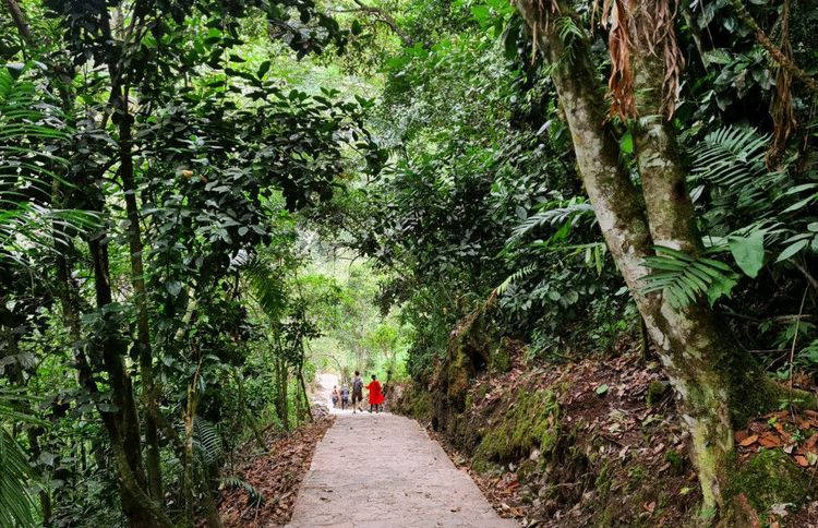 El camino hacia la cascada de Gocta