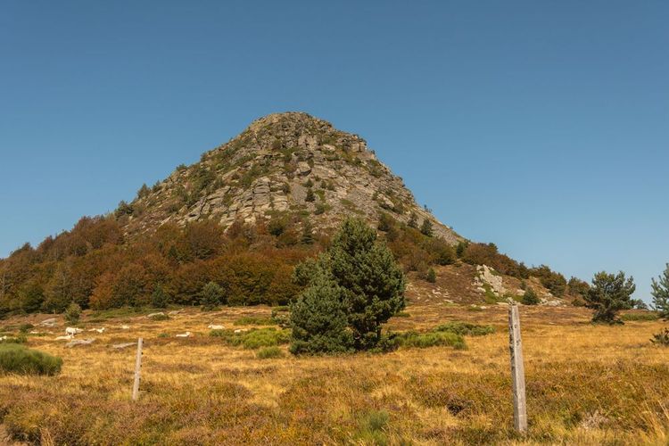 nounours-Shutterstock Le mont Gerbier-de-Jonc en Ardèche.