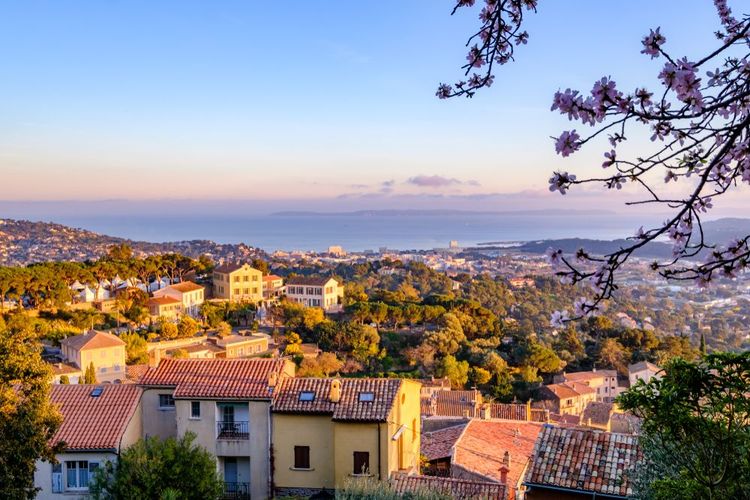 Bormes-les-Mimosas