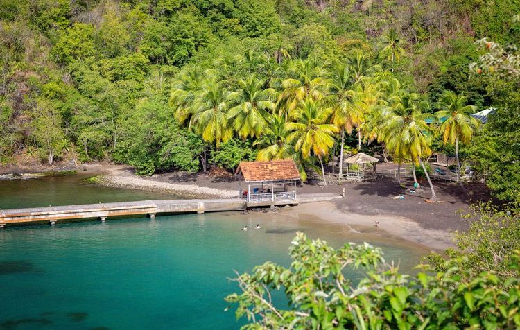 Plage de l'Anse Noire, Martinique