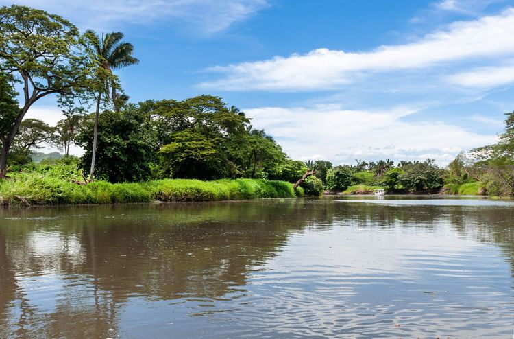 Au coeur du Puerto Viejo de Sarapiquí, sur le fil de sa rivière éponyme