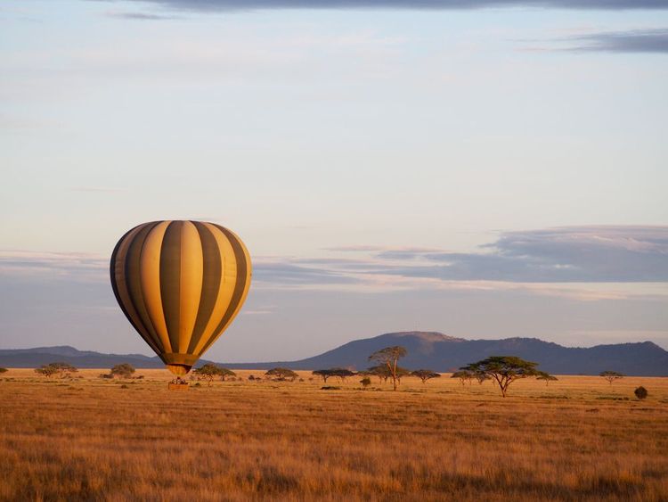 Take to the skies and discover the Serengeti in a hot-air balloon