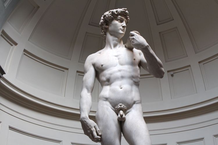 Il David di Michelangelo nella Galleria dell'Accademia