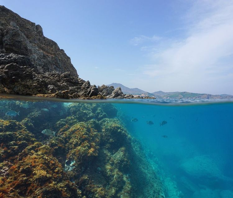  La riserva sottomarina di Banyuls-sur-mer