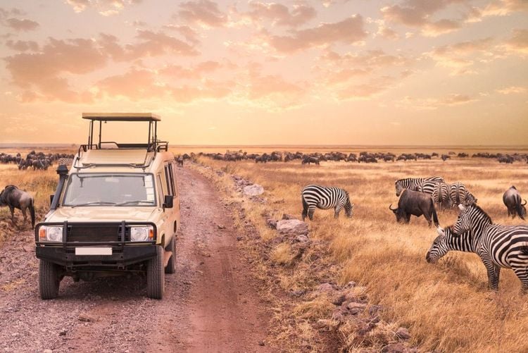 Treat yourself to a luxury safari in the Serengeti