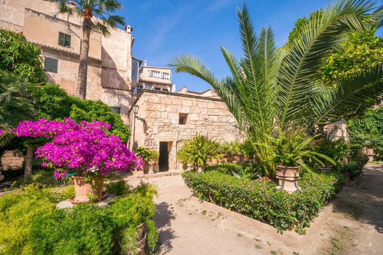 Découverte des Bains Arabes uniques de Palma de Majorque