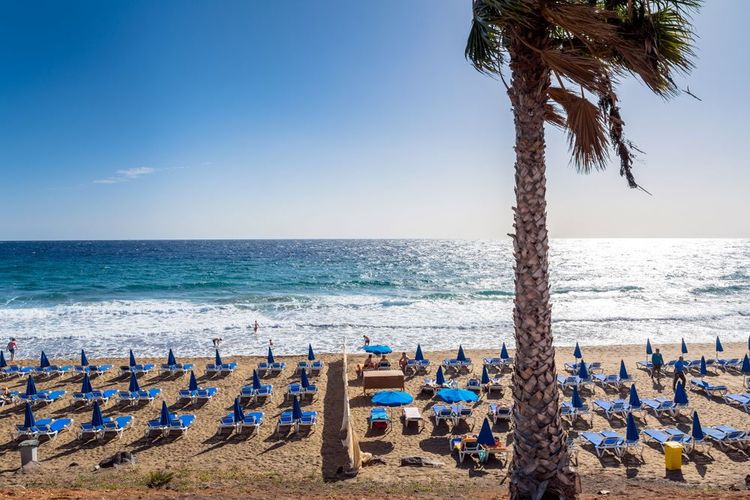 La plage de palmier à Puerto del Carmen.