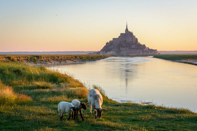 Roche Torin à Courtils, vue sur le Mont Saint-Michel