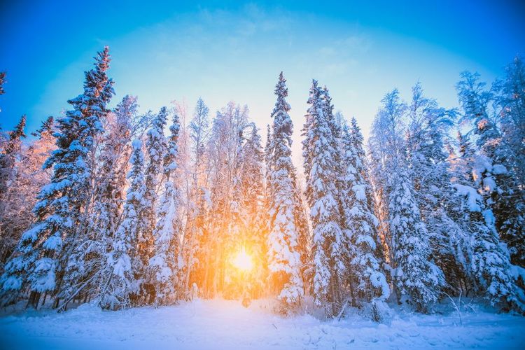 Fairbanks, Alaska