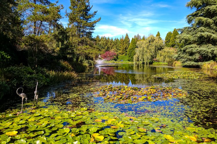 VanDusen Botanical Garden, le plus beau jardin botanique de Vancouver