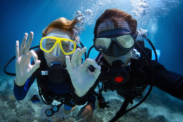 Diving is a great way to discover the seabed of the Calanques de Cassis.