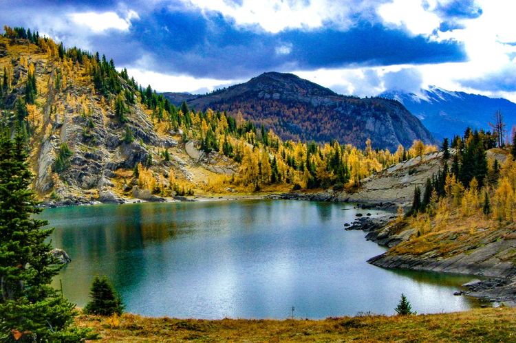 Sunshine Meadows, Banff