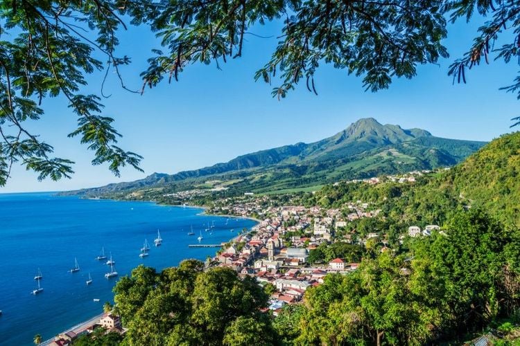À la découverte de la majestueuse Montagne Pelée, joyau de la Martinique