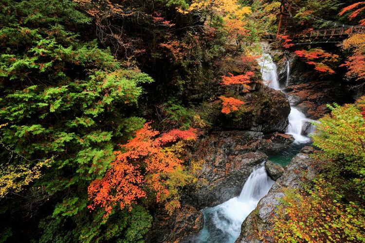 Une des nombreuses cascades de Mitarai